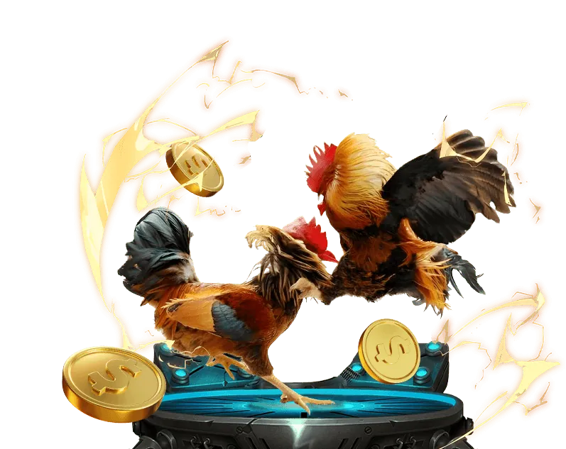 Cá cược công bằng